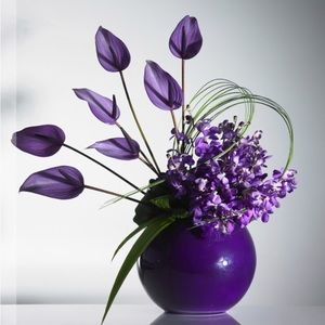 Meet your Posher, Yolanda